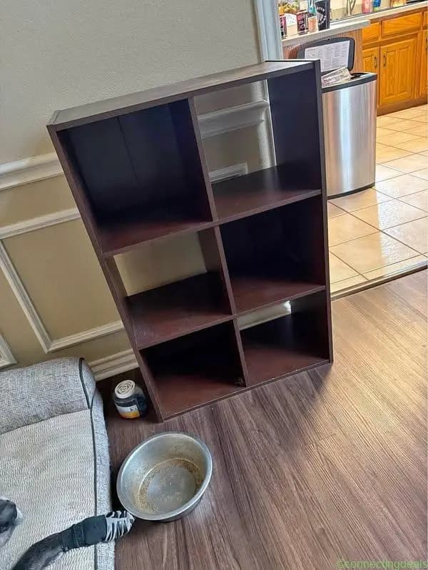 Shelf