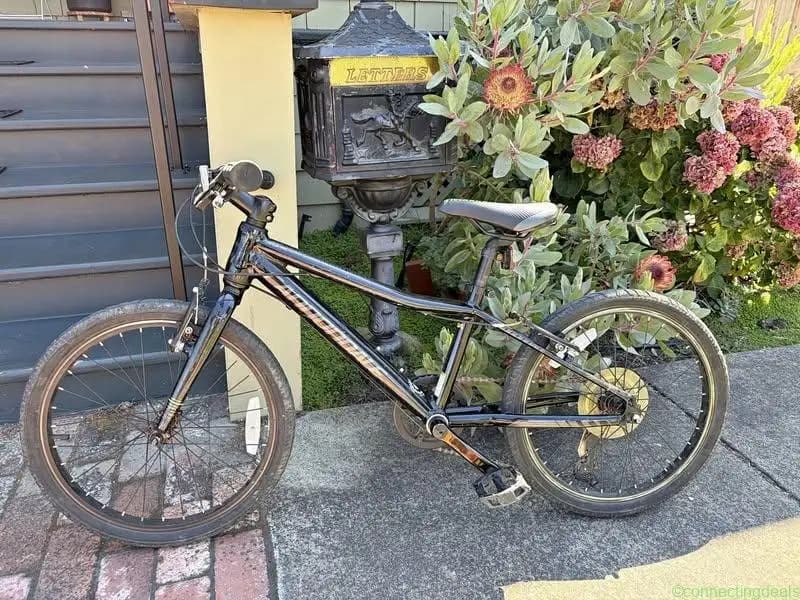 Cannondale Street 20