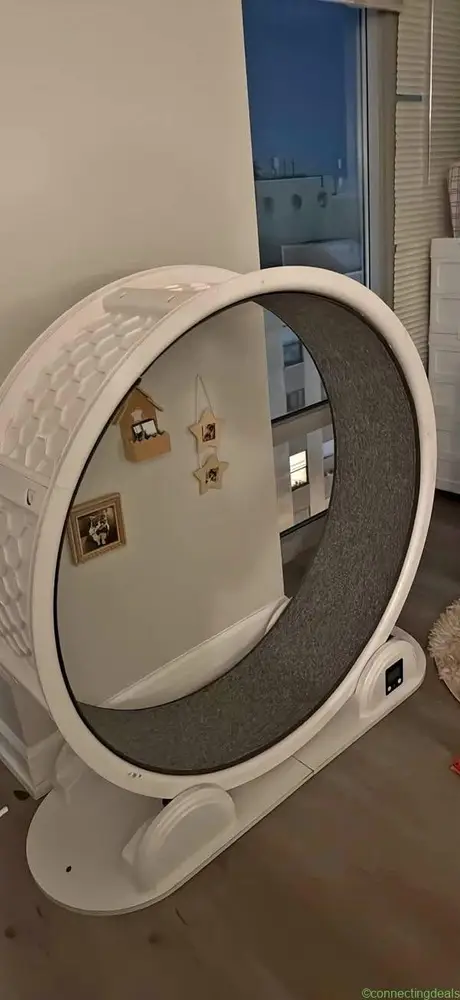 Big Cat Wheel - Image 1