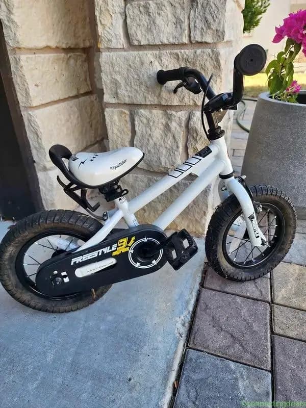 Royal Rider Kids Bike - Image 1