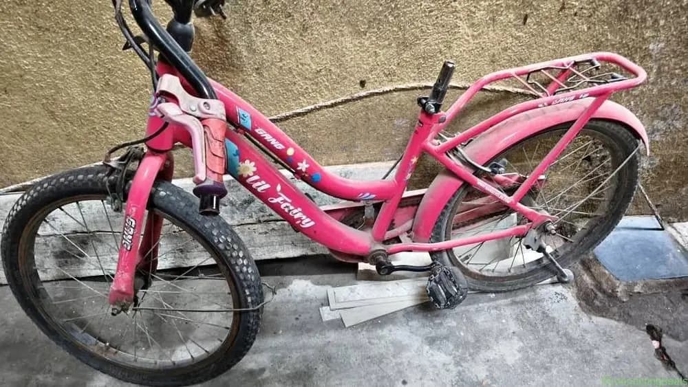 Bicycle - Image 1