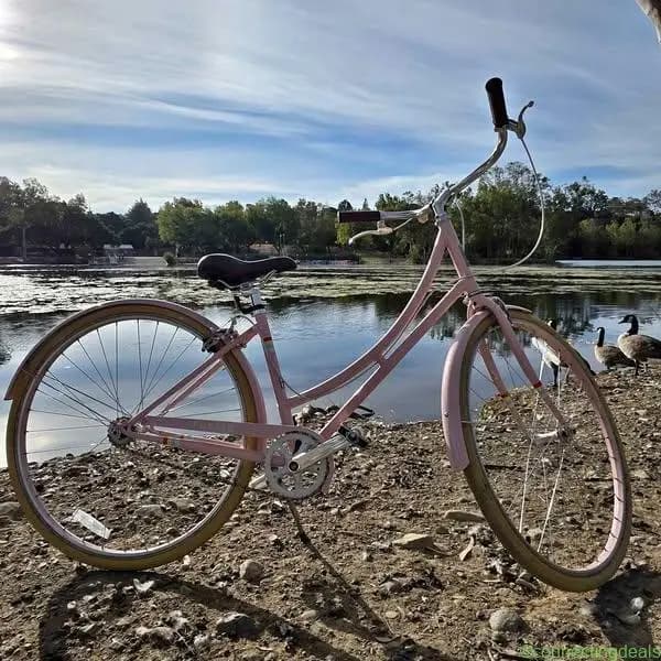 PUBLIC C1 Step-Through Bicycle woman($180) and