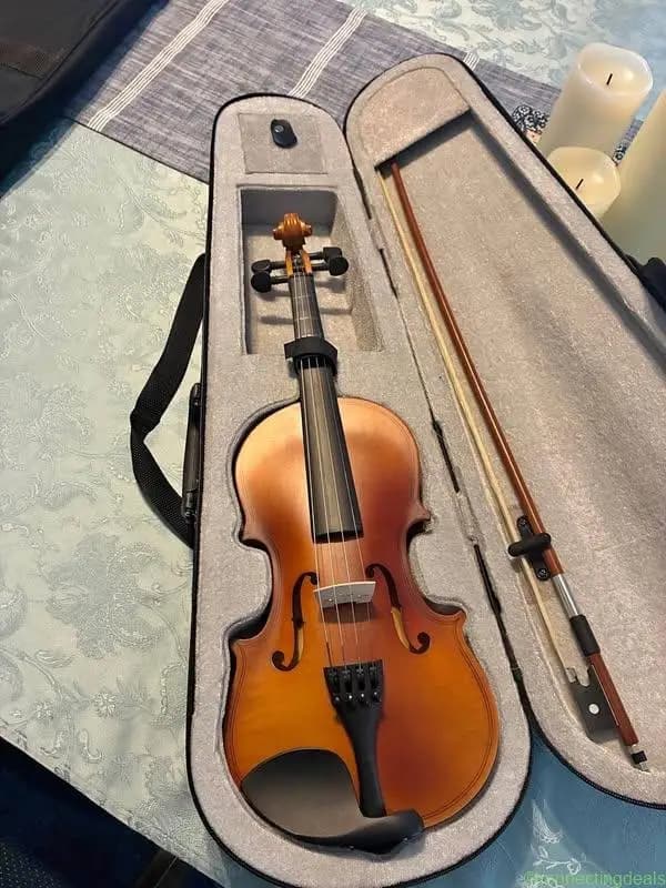 Violin