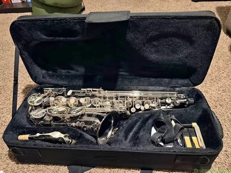 Beautiful Jean Baptiste Professional Alto - Image 1