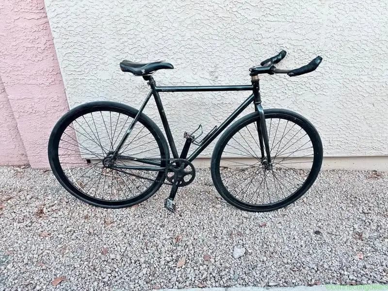 State Bicycle Co. Fixed Gear Bike size 54 cm