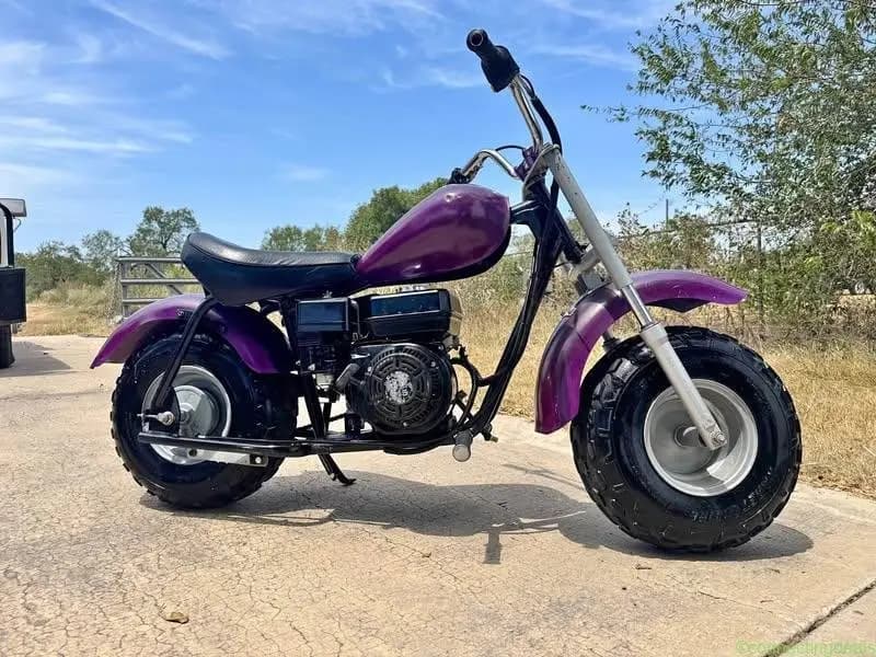 Baja Warrior Mini bike 6.5