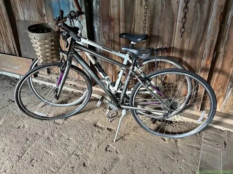 Moving Sale: 2 Trek Hybrid Bikes (Mother-Daughter