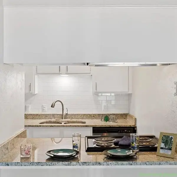 1 Bed 1 Bath Apartment
