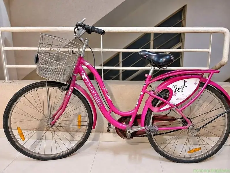 Pink Ladybird Bicycle – Good Condition | Ready to - Image 1
