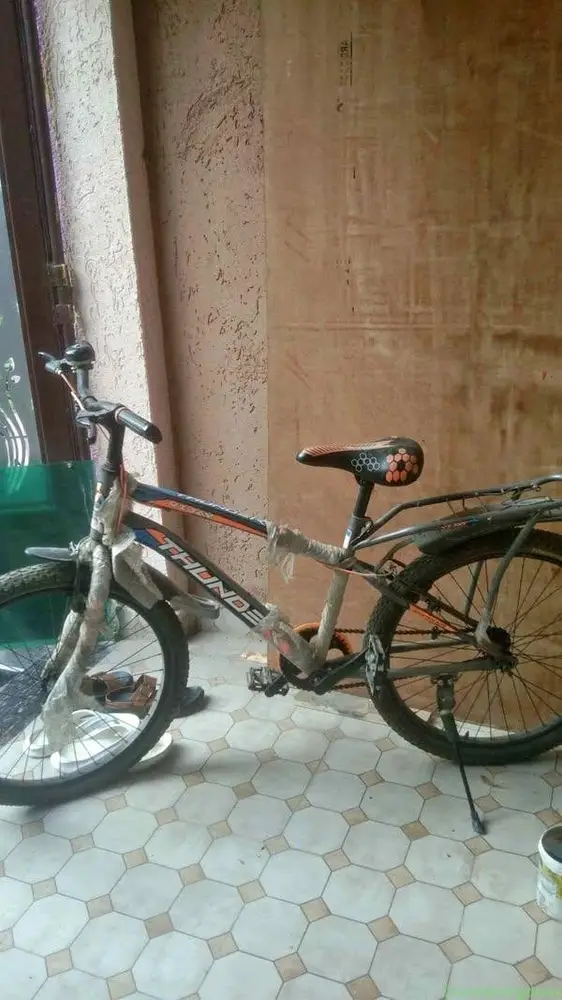 Cycle - Image 1