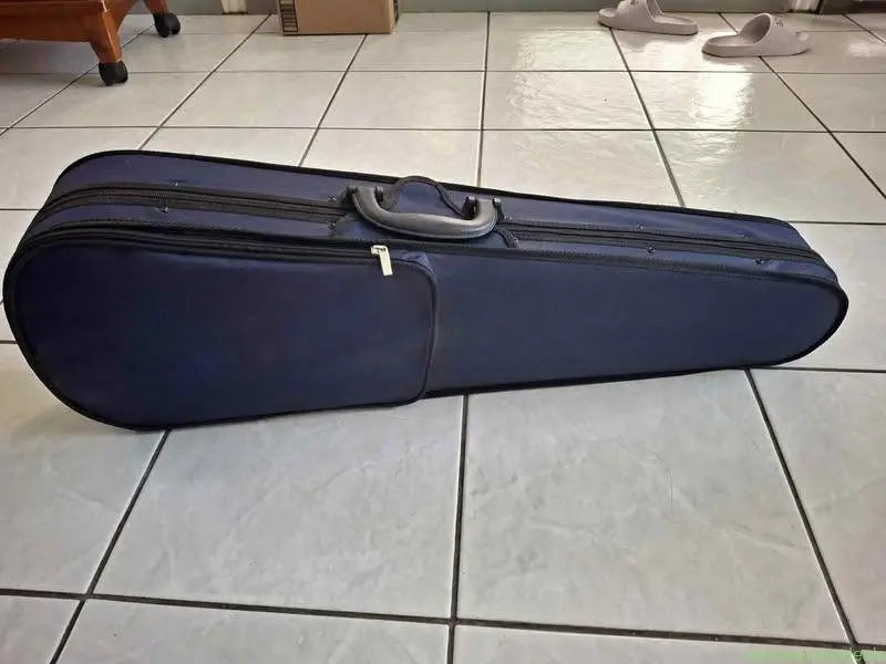 Violin