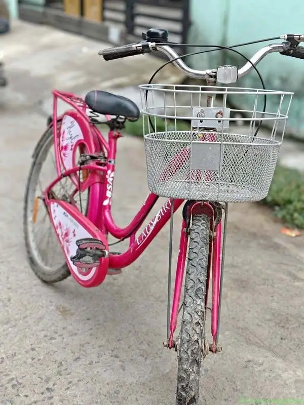 Ladybird Bicycle - Image 1