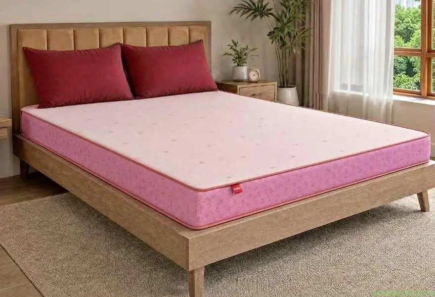 Kurl on orthopedic matress - Image 1
