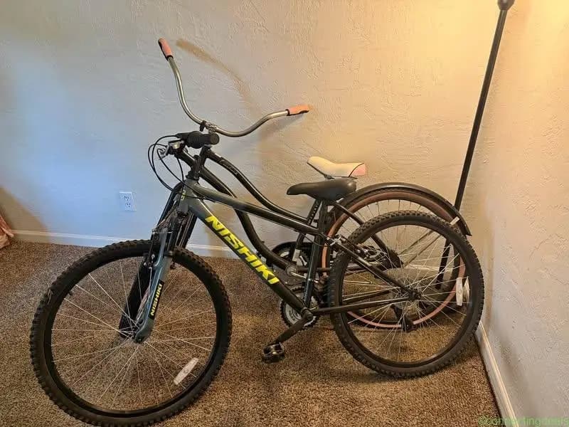 2 Adult Bikes