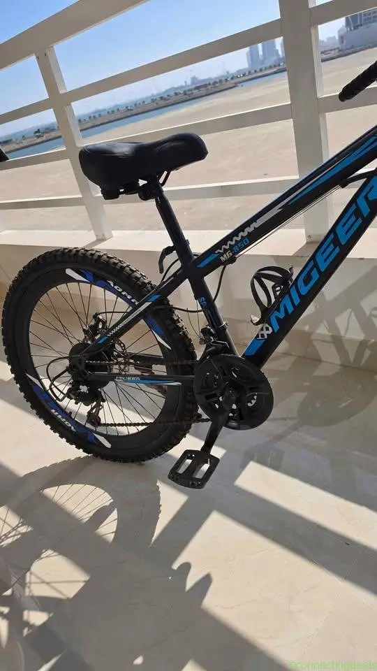 Bicycle for sale