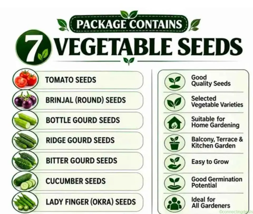 7 Vegetable Seeds Combo Pack - Image 1
