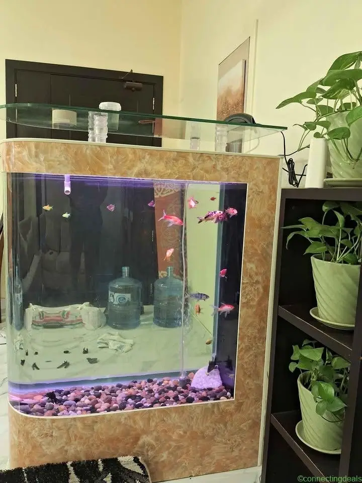 🐠 Large Premium Aquarium – Complete Setup for Sale