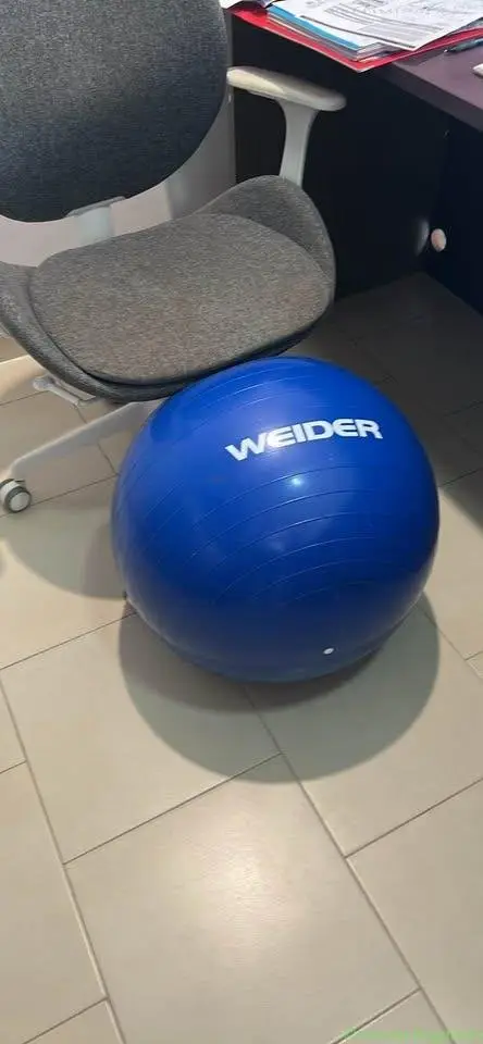 EXERCISE BALL GYM- OFFFICE - Image 1