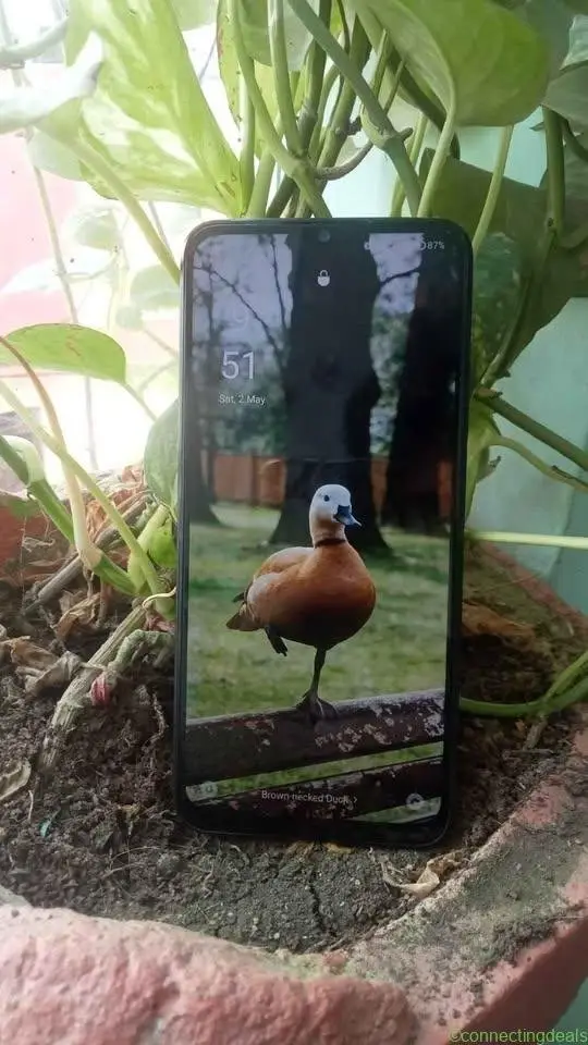 Oppo A17k