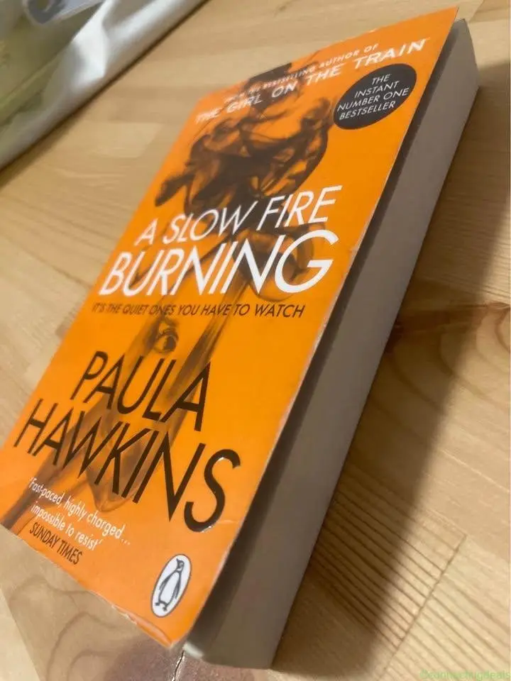 Book A Slow Fire Burning - Image 1