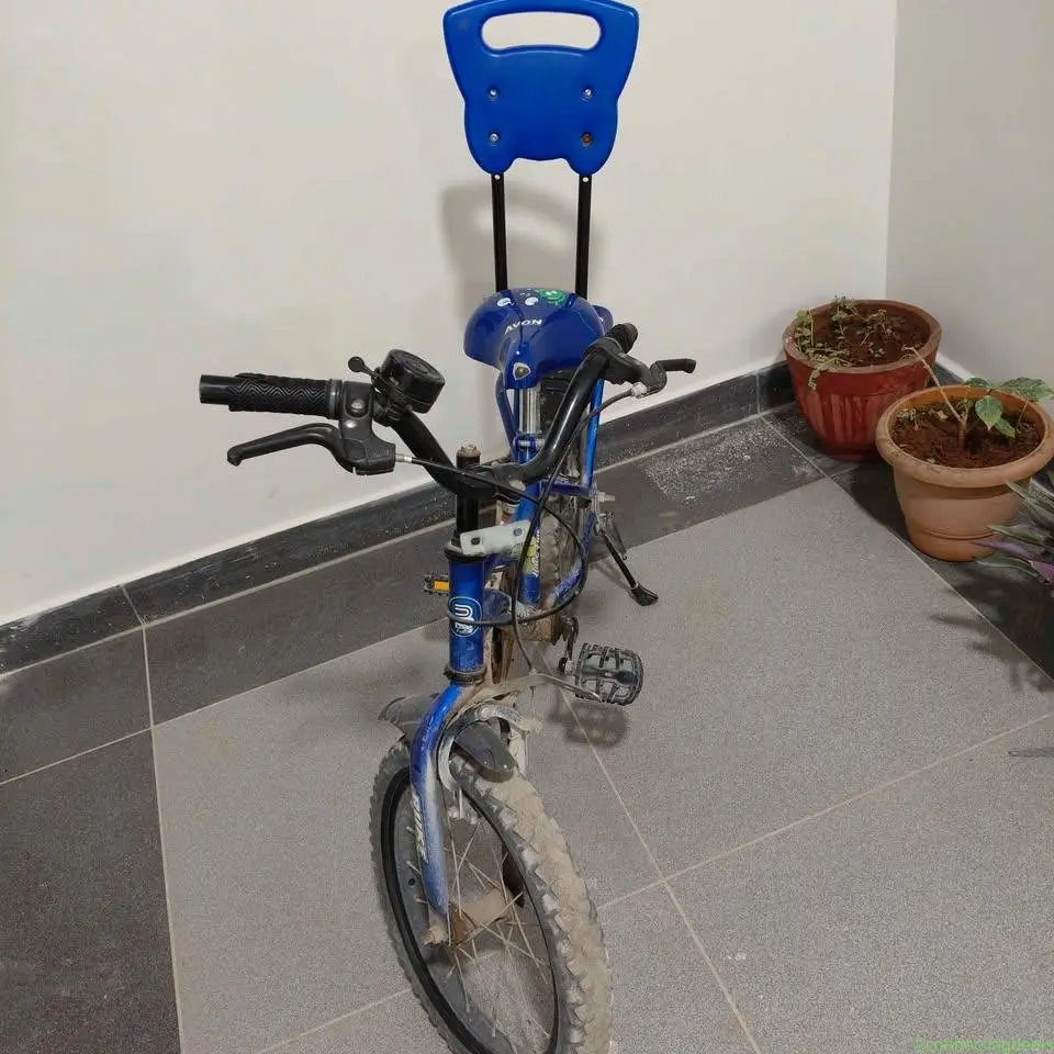 Avon bicycle - Image 1