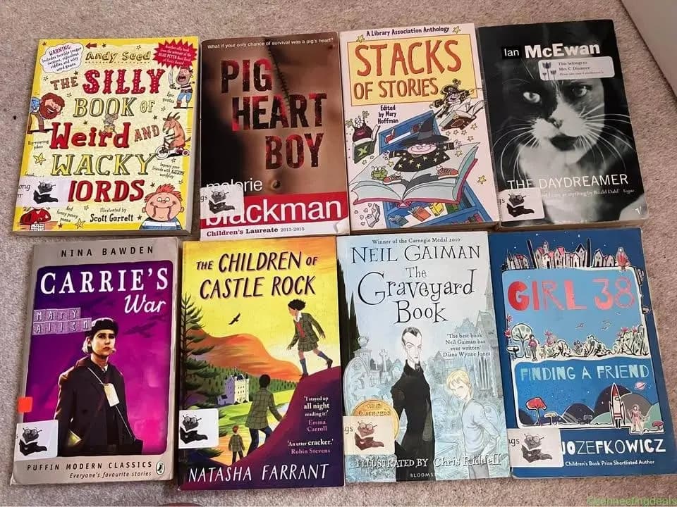 Selection of novels /books KS2 - Image 1