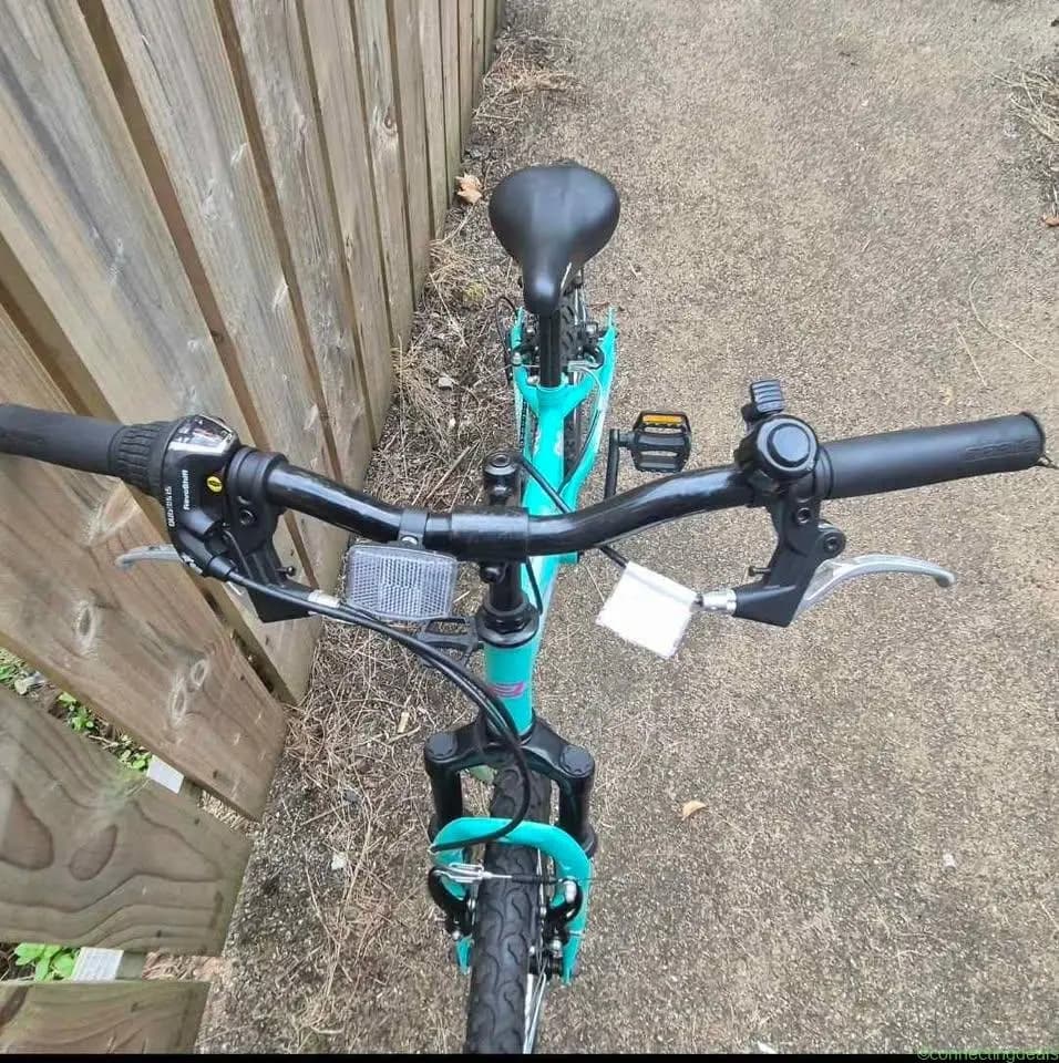 Bike 20 inch