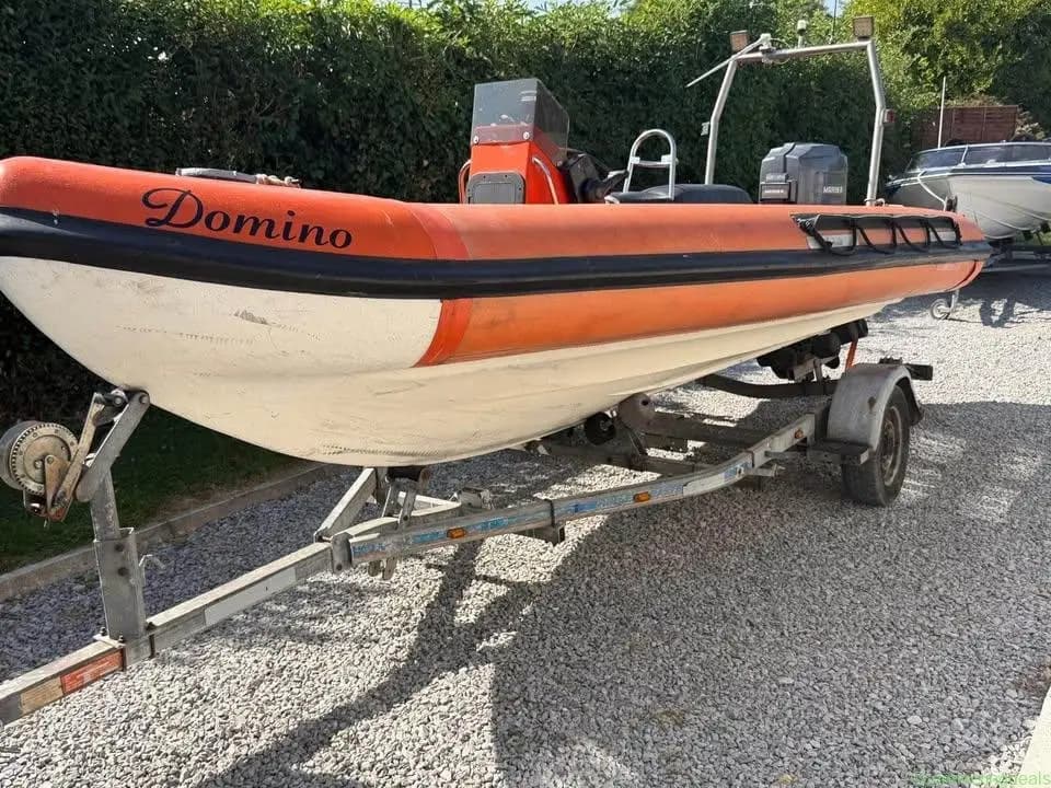Osprey rib - Image 1