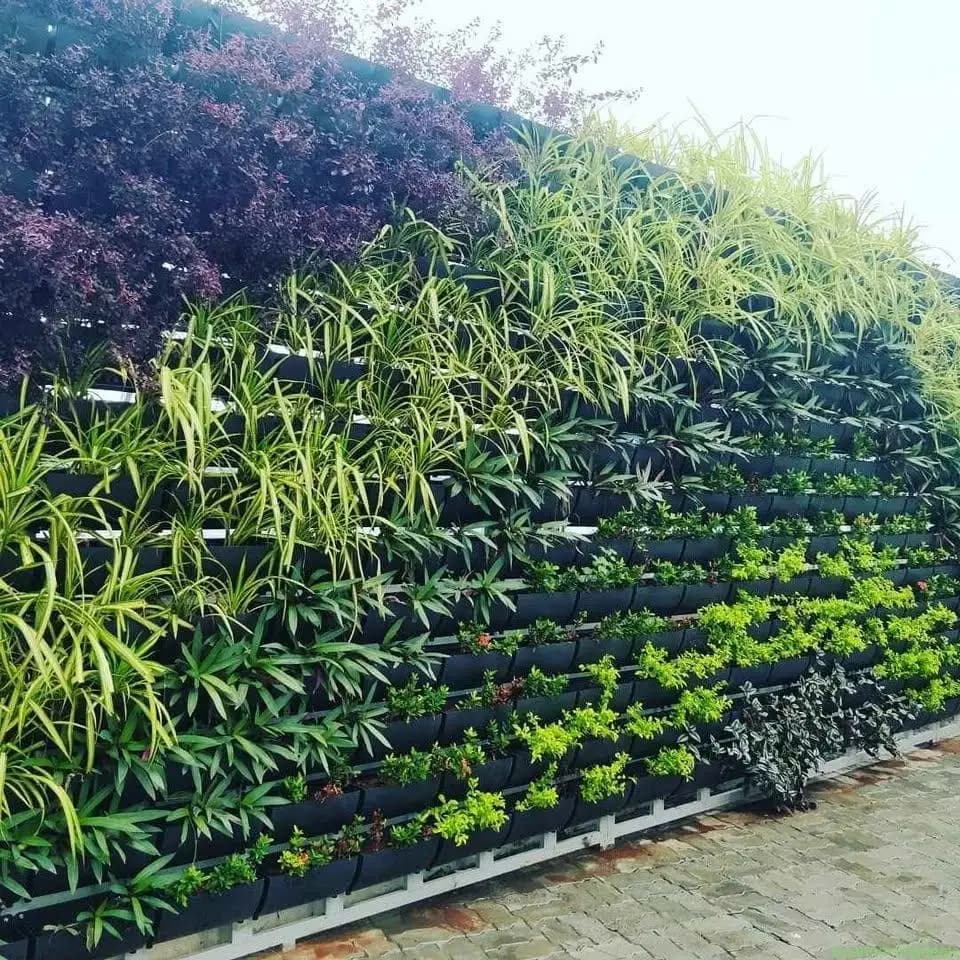 Vertical garden