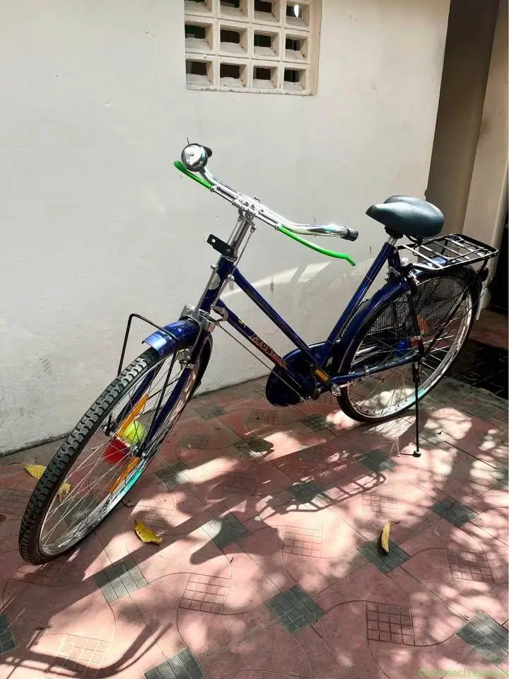 Ladies Govt. Bicycle - New - Image 1