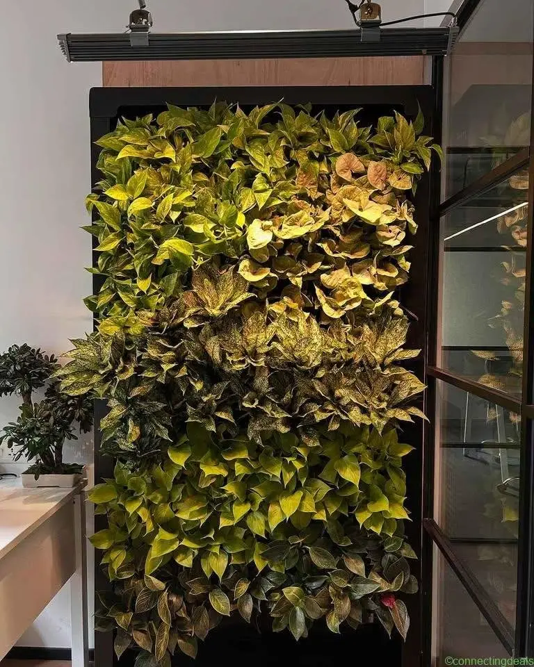 Vertical garden