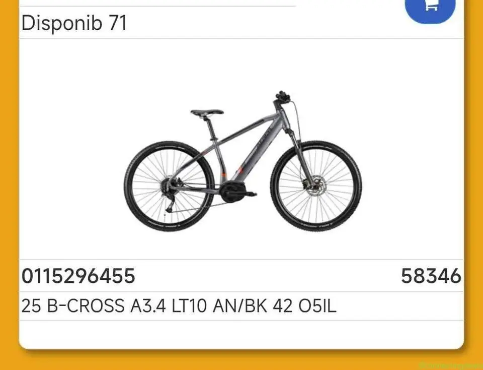E- bike ripar - Image 1