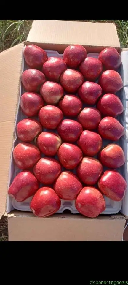 Pomegranate/Anar ,Apple fresh from the farm
