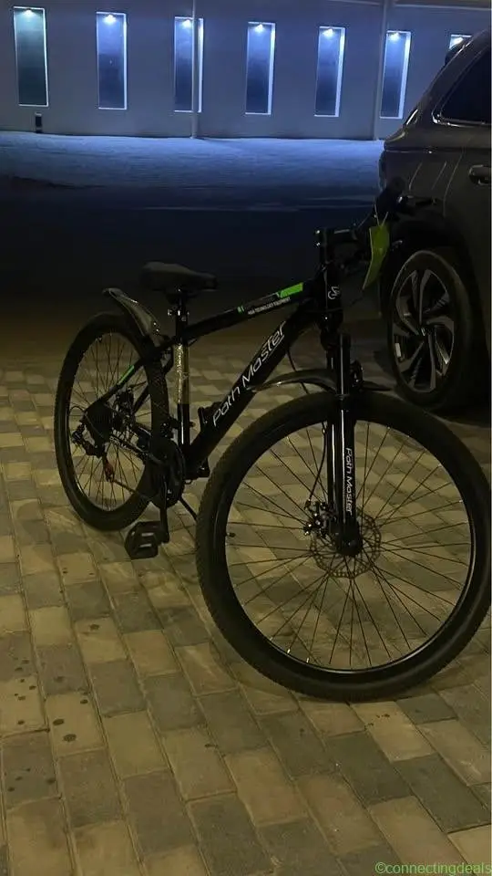 Path Master Bicycle