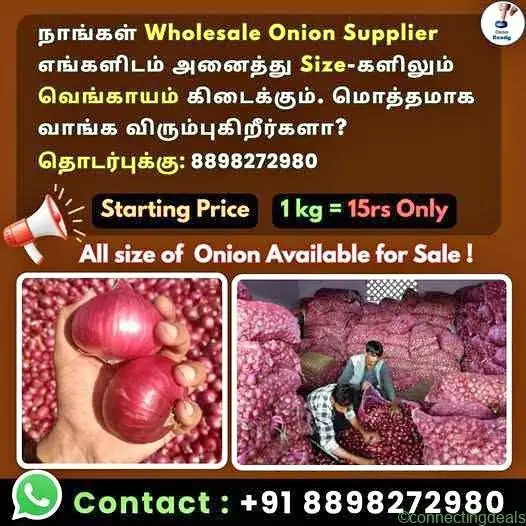 Wholesale Onion Supplier - Image 1