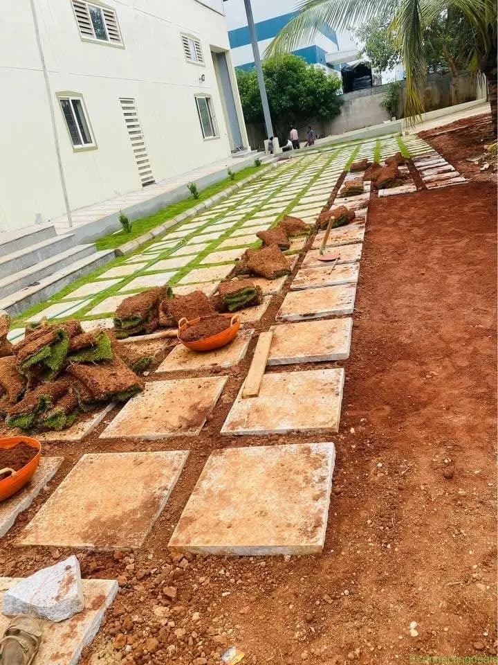 Mexican Grass  garden