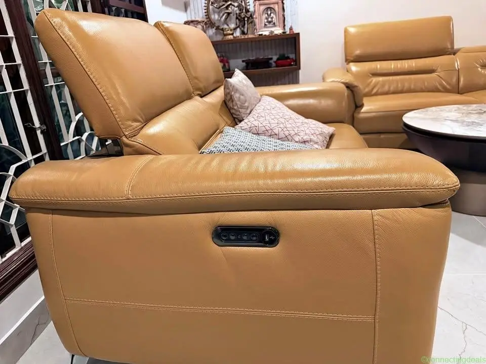 Canadian Bison genuine leather automated recliner