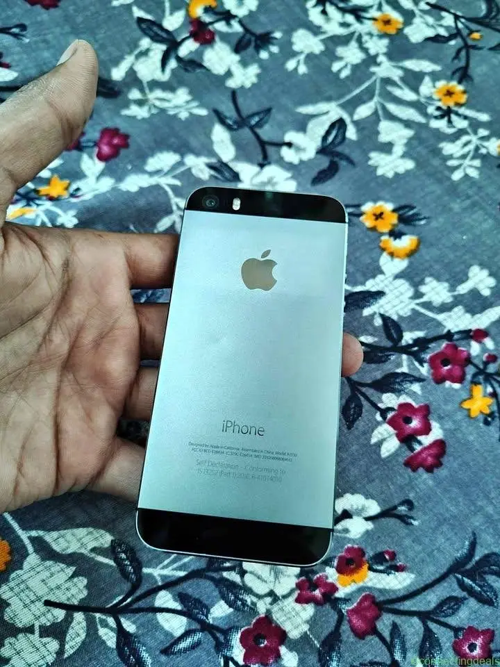 iPhone 5s