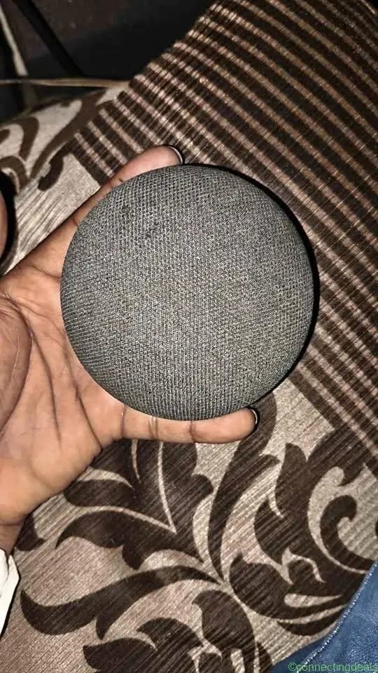 Google Home Mini Smart Speaker