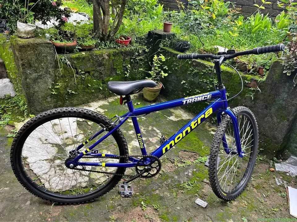 Avon Buke cycle
