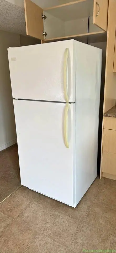 Frigidaire fridge - Image 1