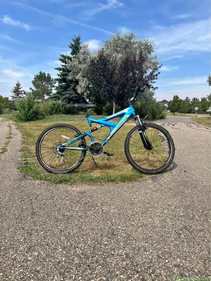 Mountain bike - Image 1