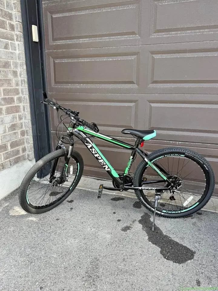 Aspen Mountain Bike