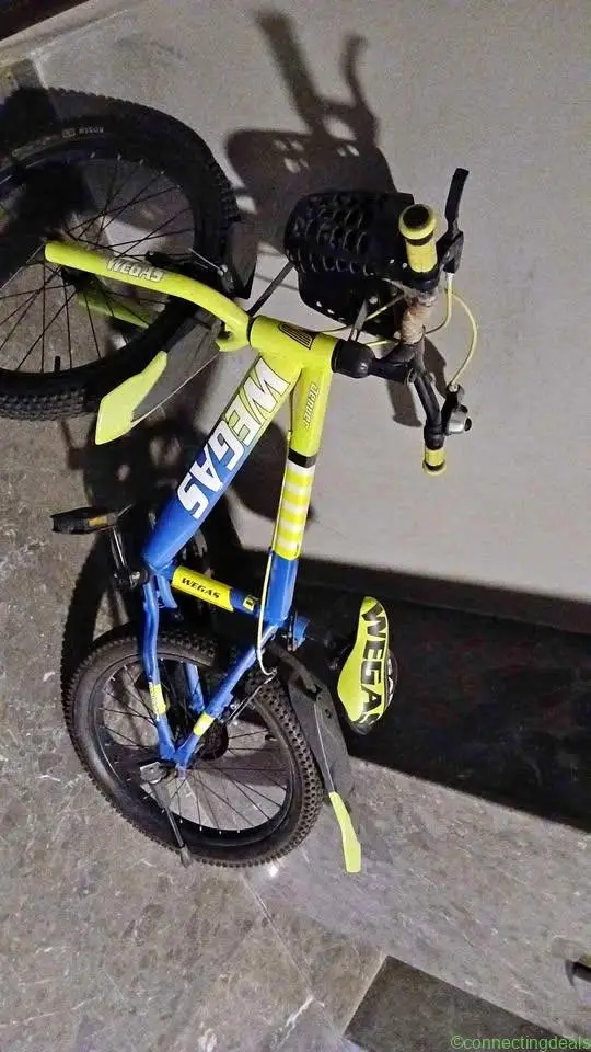 Wegas Cycle