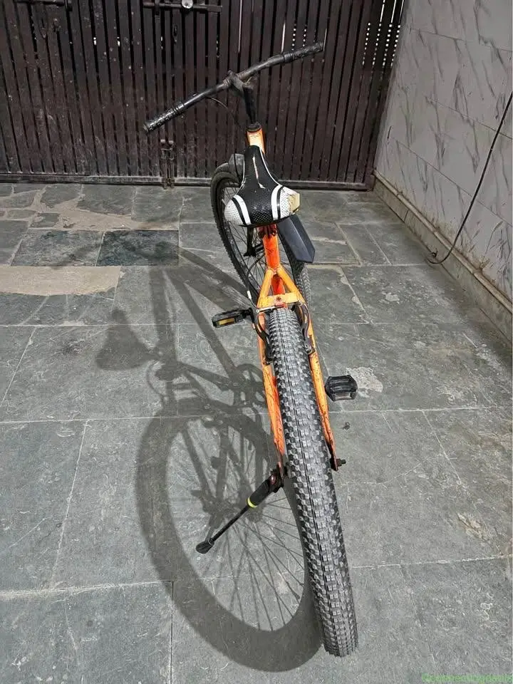 Bicycle - Image 1