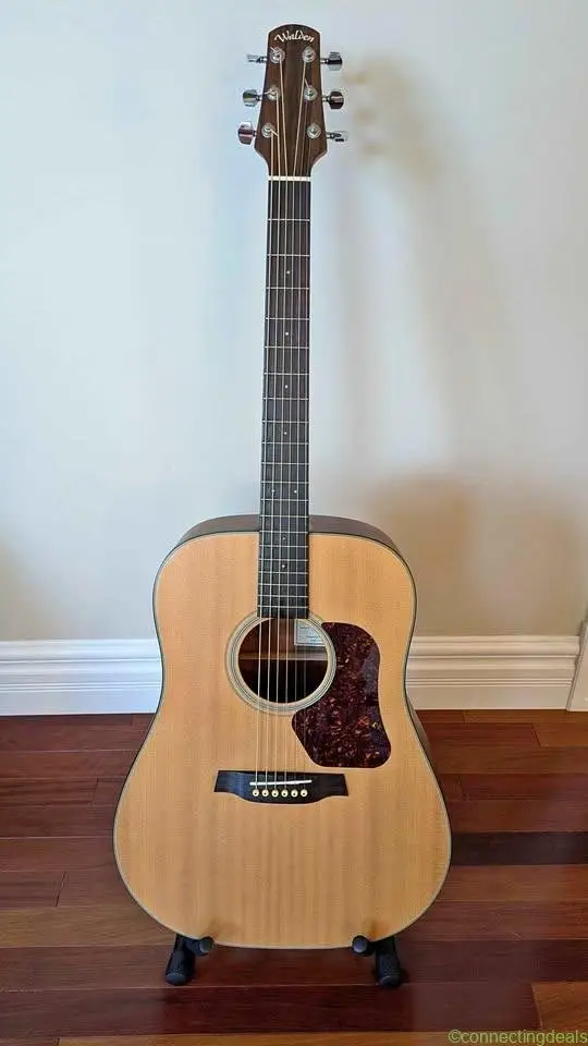 Walden D550 Solid Top Acoustic Guitar Package