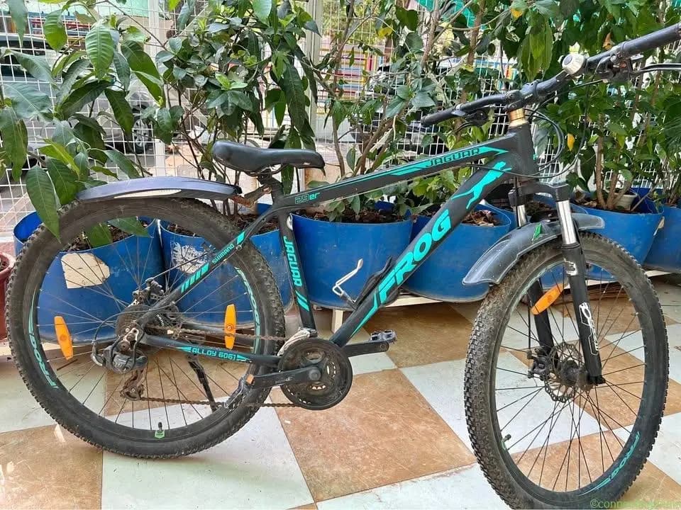 Jaguar Frog gear bicycle - Image 1