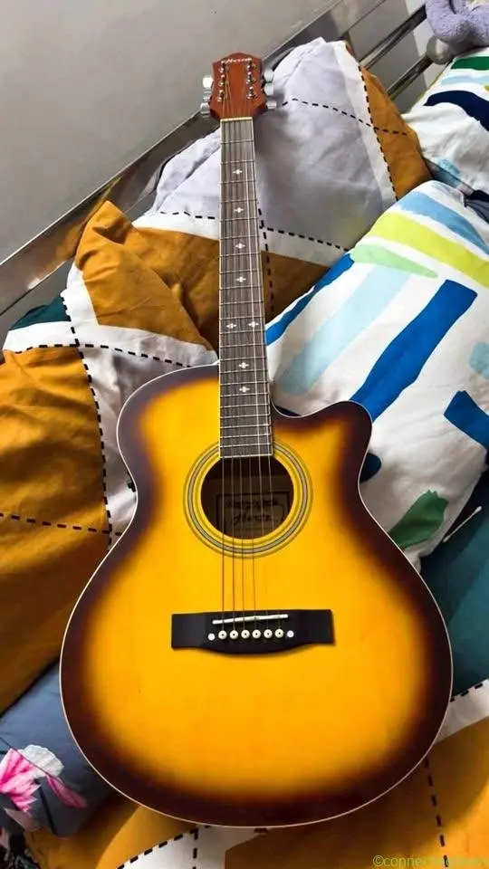 🎸 Brand New Hertz Electro Acoustic Guitar – Like
