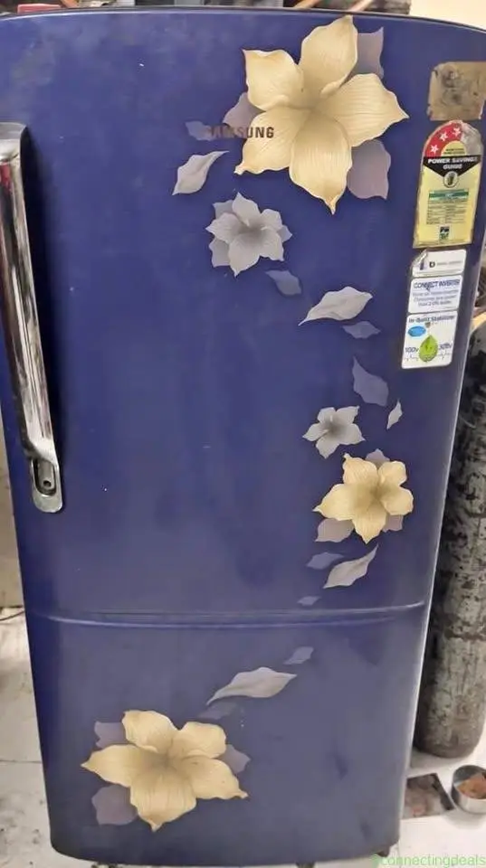 Samsung single door fridge
