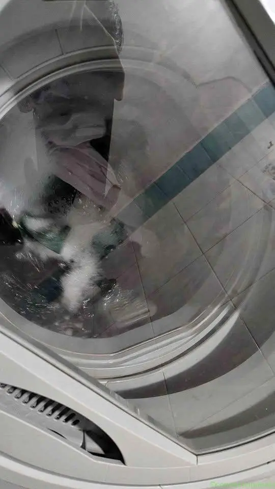 Ifb washing machine